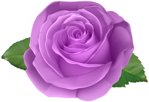 This png image - Rose Purple Transparent PNG Clip Art Image, is available for free download
