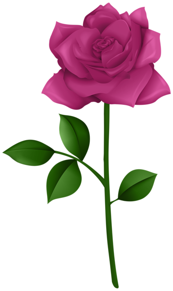 This png image - Rose Purple with Steam PNG Transparent Clipart, is available for free download