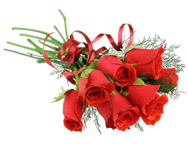 This png image - Rose Red Bouquet PNG Picture, is available for free download