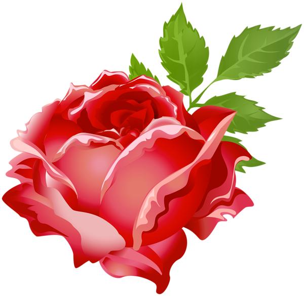 This png image - Rose Red PNG Clip Art Image, is available for free download