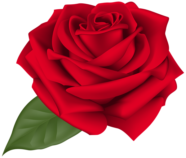 Rose Red Transparent PNG Clip Art Image | Gallery ...