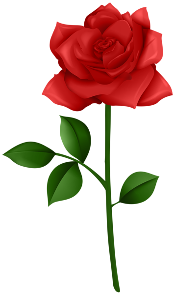 This png image - Rose Red with Steam PNG Transparent Clipart, is available for free download