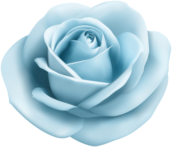 This png image - Rose Soft Blue Transparent PNG Clip Art Image, is available for free download