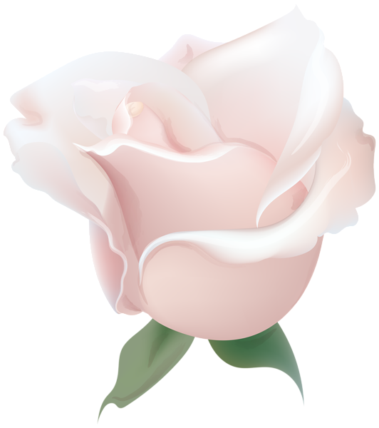 This png image - Rose Soft Deco Transparent PNG Image, is available for free download