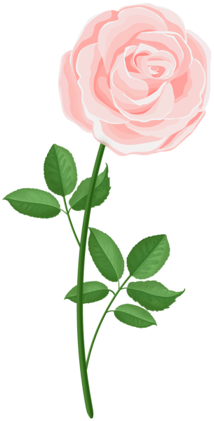 This png image - Rose Soft PNG Clipart, is available for free download