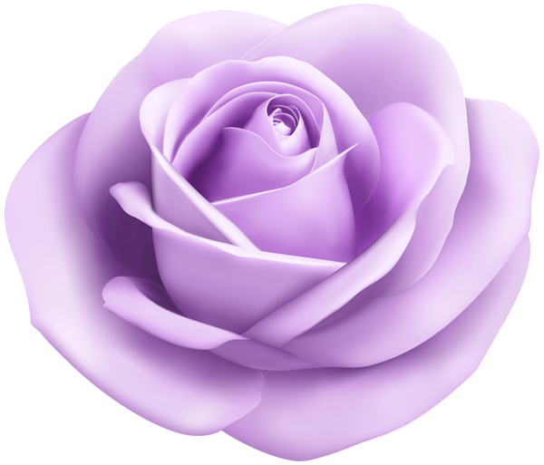 This png image - Rose Soft Puprle Transparent PNG Clip Art Image, is available for free download