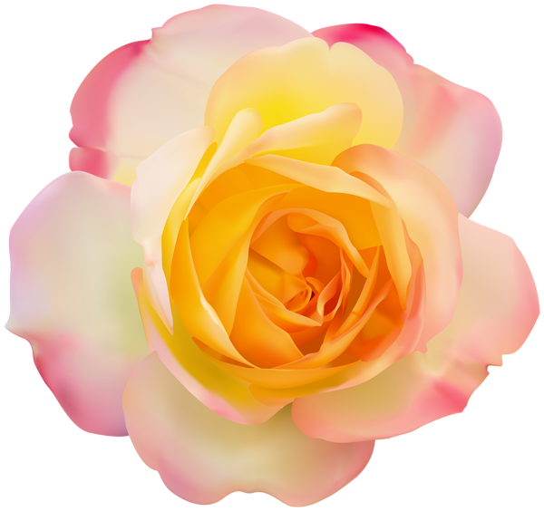 This png image - Rose Transparent Clip Art, is available for free download