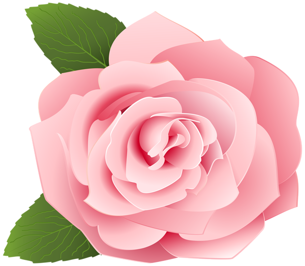 This png image - Rose Transparent Clip Art PNG Image, is available for free download