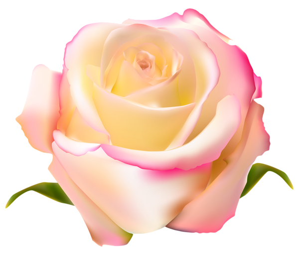 This png image - Rose Transparent PNG Clip Art Image, is available for free download