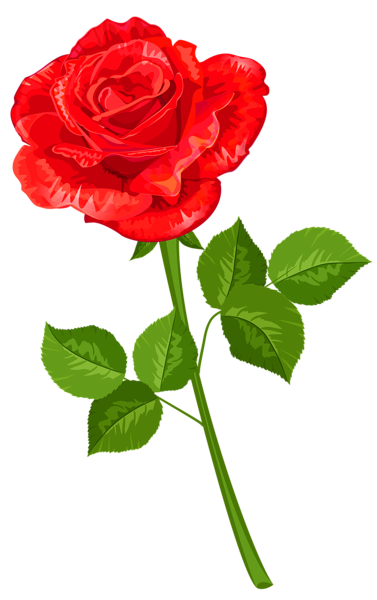 This png image - Rose Transparent PNG Clipart, is available for free download