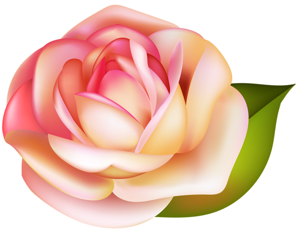 This png image - Rose Transparent PNG Image, is available for free download