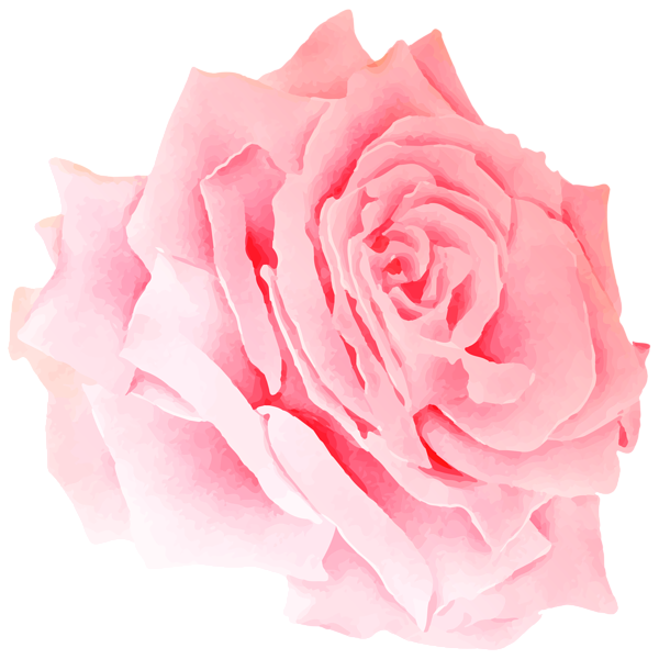 This png image - Rose Watercolor PNG Clipart, is available for free download