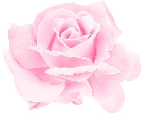 This png image - Rose Watercolor Pink PNG Clipart, is available for free download
