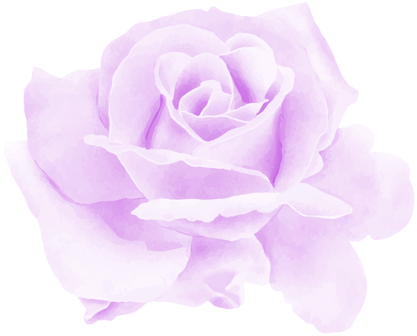 This png image - Rose Watercolor Purple PNG Clipart, is available for free download