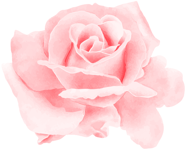 This png image - Rose Watercolor Red PNG Clipart, is available for free download