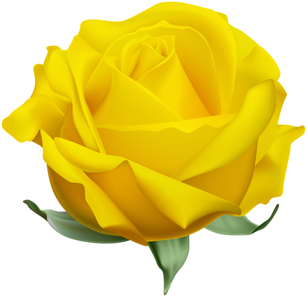This png image - Rose Yellow Open PNG Clipart, is available for free download