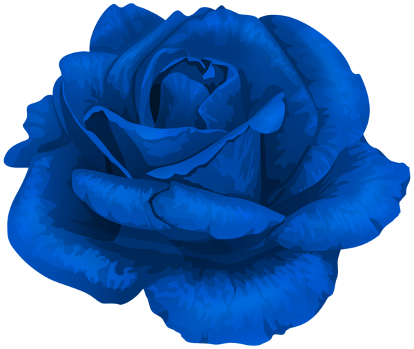 This png image - Rose in Blue Transparent PNG Clipart, is available for free download