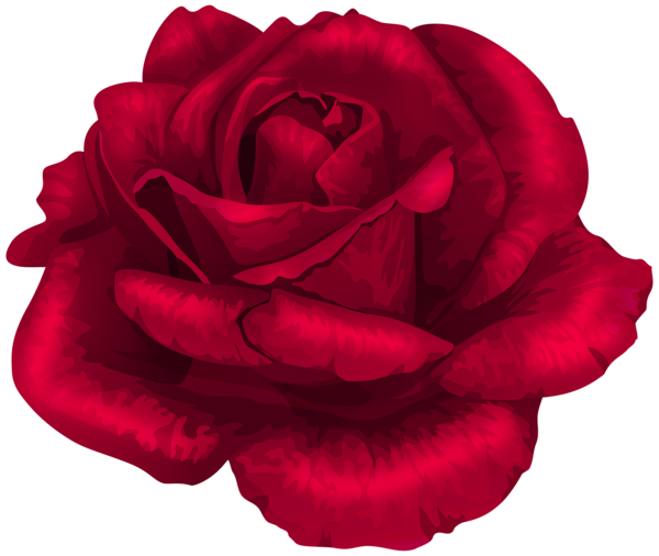 This png image - Rose in Red Transparent PNG Clipart, is available for free download