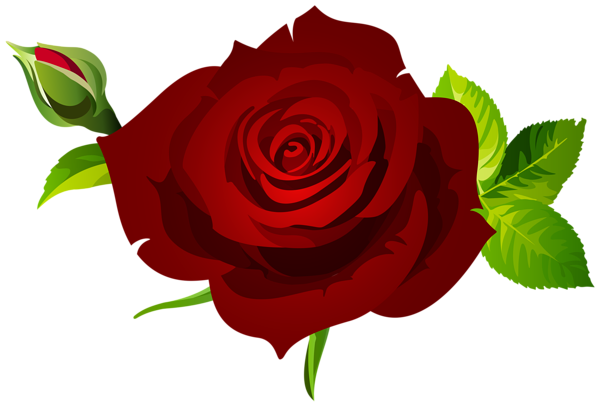 This png image - Rose with Bud and Leaves Dark Red PNG Clipart, is available for free download