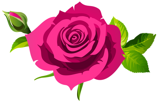 This png image - Rose with Bud and Leaves Pink PNG Clipart, is available for free download