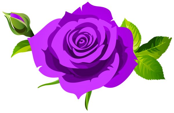 This png image - Rose with Bud and Leaves Purple PNG Clipart, is available for free download