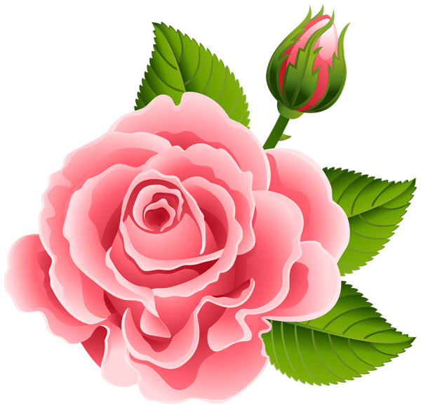 Rose with Rose Bud PNG Clip Art Image | Gallery Yopriceville - High ...
