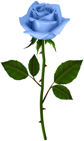 This png image - Rose with Steam Blue PNG Transparent Clipart, is available for free download
