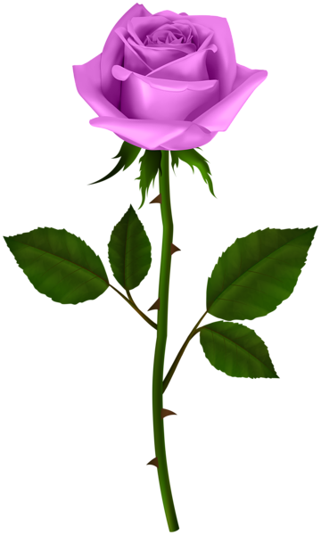 This png image - Rose with Steam PNG Transparent Clipart, is available for free download