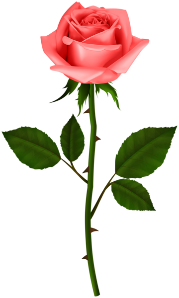 This png image - Rose with Steam Red PNG Transparent Clipart, is available for free download