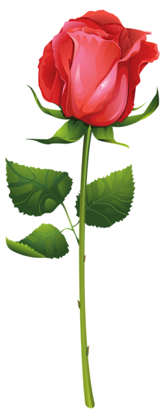 This png image - Rose with Stem PNG Clip Art Image, is available for free download