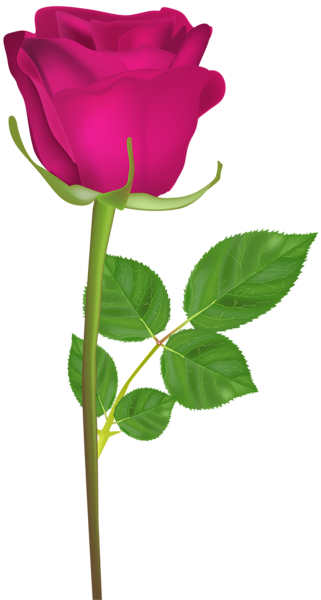 This png image - Rose with Stem Pink PNG Clip Art Image, is available for free download