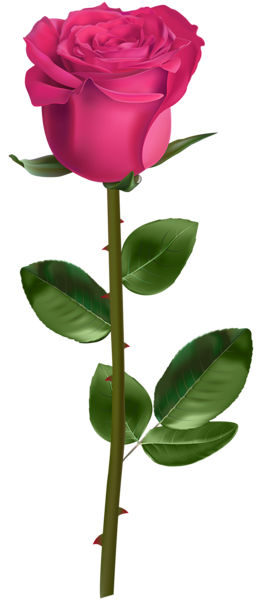 This png image - Rose with Stem Pink Transparent PNG Image, is available for free download