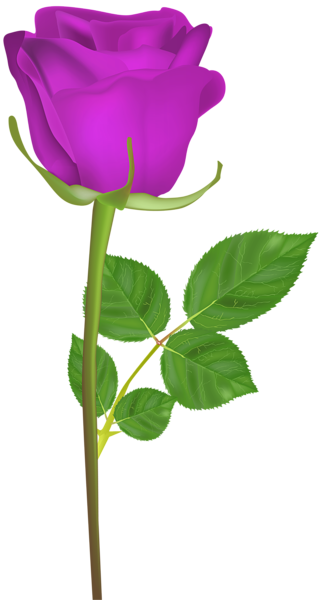 This png image - Rose with Stem Purple PNG Clip Art Image, is available for free download