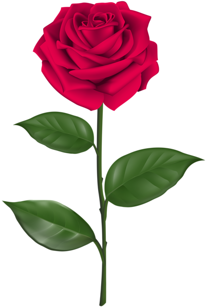 This png image - Rose with Stem Transparent Clipart, is available for free download