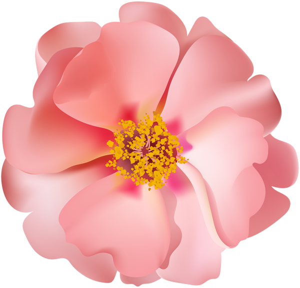 This png image - Rosebush Flower PNG Clip Art Image, is available for free download