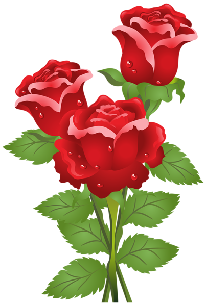 This png image - Roses Clip Art Image, is available for free download