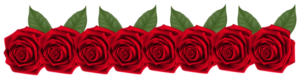 This png image - Roses Decoration Transparent PNG Clip Art Image, is available for free download