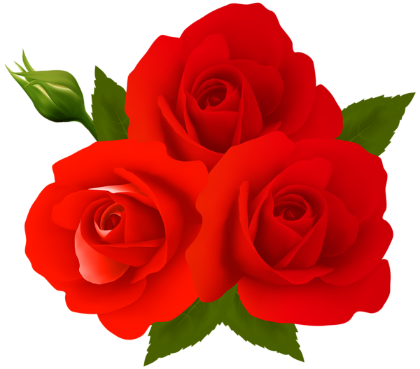 This png image - Roses PNG Clip Art, is available for free download
