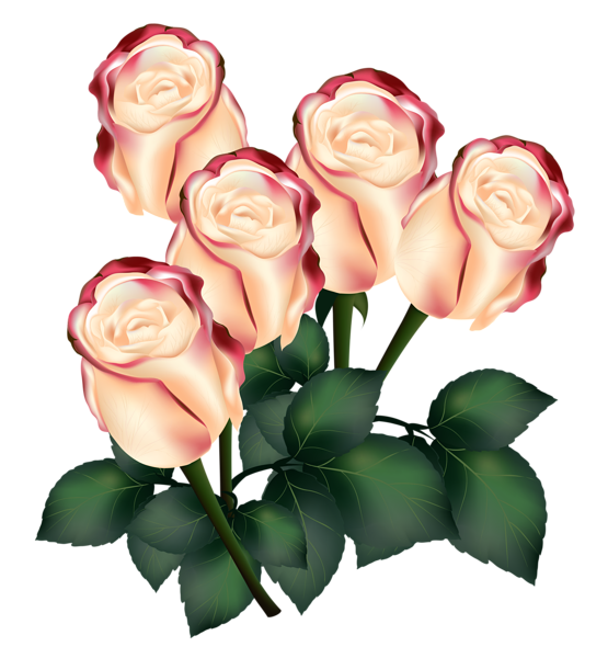 This png image - Roses PNG Clipart Image, is available for free download