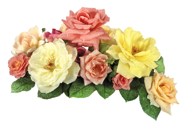 This png image - Roses PNG Image, is available for free download