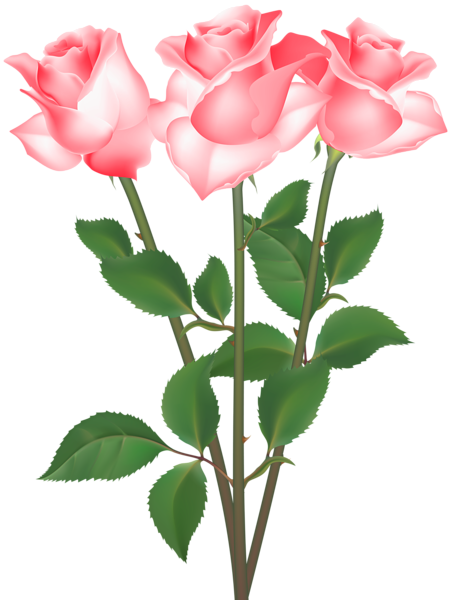 Roses Transparent Clip Art Image | Gallery Yopriceville - High-Quality ...