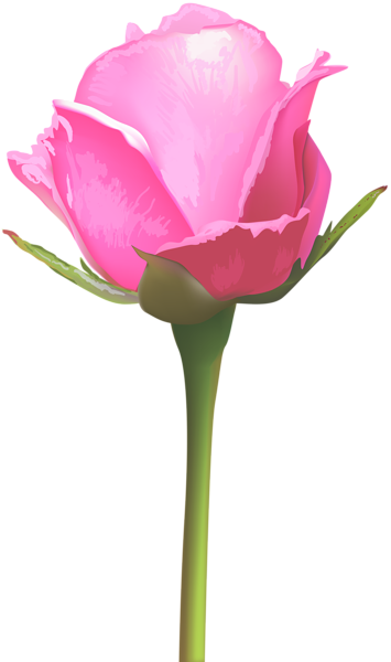 This png image - Single Pink Rose PNG Clip Art Image, is available for free download