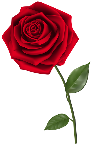 This png image - Single Red Rose PNG Clipart Image, is available for free download
