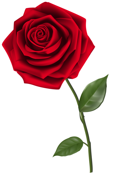 Single Red Rose PNG Clipart Image  Gallery Yopriceville  HighQuality Images and Transparent 