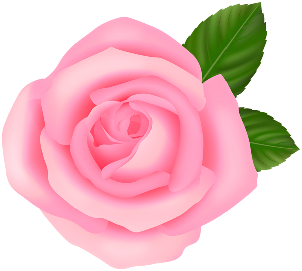 Soft Pink PNG Rose Clipart | Gallery Yopriceville - High-Quality Free ...
