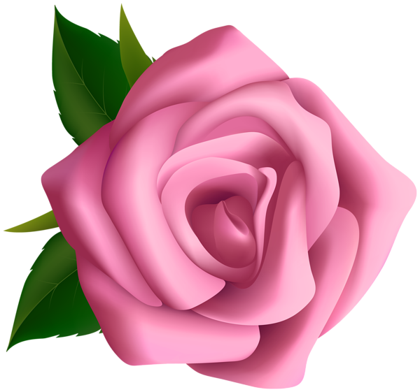 This png image - Soft Pink Rose Clipart PNG Image, is available for free download