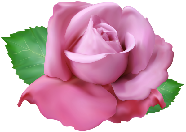 This png image - Soft Pink Rose PNG Clip Art Transparent Image, is available for free download