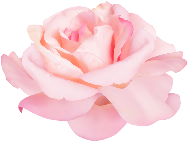 This png image - Soft Pink Rose PNG Clipart, is available for free download