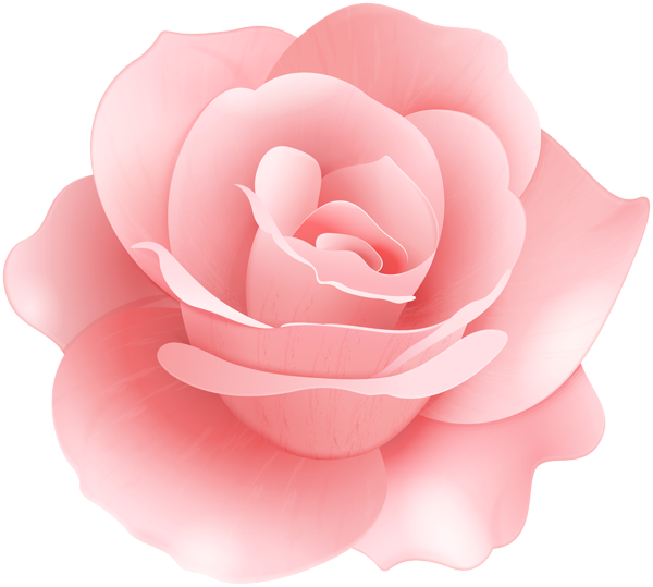 This png image - Soft Rose Flower Clip Art Image, is available for free download