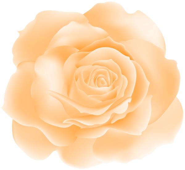 This png image - Soft Rose Orange PNG Clipart, is available for free download